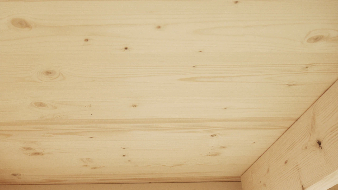 Planeo Gartenhaus - Systemhaus Venlo Titangrau 4 Planeo Gartenhaus - Systemhaus Venlo Titangrau – Bild 4