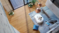 Planeo Parkett - Edelholz Eiche Fauske | Made In Germany (EDP-009) -Planeo Klick Deutschland Verkaufs-Shop 8900 hd400 naturgeoelt ambiente 03 1 1