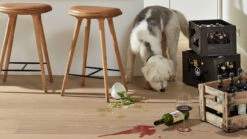 Planeo Parkett - Edelholz Eiche Elverun | Made In Germany (EDP-229) -Planeo Klick Deutschland Verkaufs-Shop 8922 hd400 ultramattlackiert hund 03 1