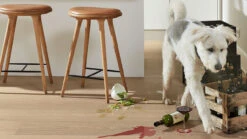 Planeo Parkett - Edelholz Eiche Elverun | Made In Germany (EDP-229) -Planeo Klick Deutschland Verkaufs-Shop 8922 hd400 ultramattlackiert hund 06 1
