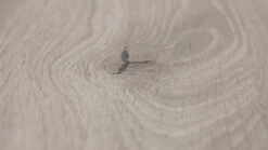 Planeo Klick Vinyl - Rigid Eiche Rustikal Hellgrau (SP100918-X) -Planeo Klick Deutschland Verkaufs-Shop 918 planeo rigidxl vinylboden eiche rustikal hellgrau 6