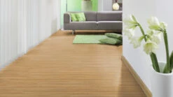 Planeo Klebevinyl - Zuhause Summer Oak Golden (DB00118) -Planeo Klick Deutschland Verkaufs-Shop db00118 vinylboden sonderposten