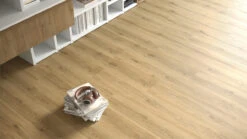 Planeo Klick Vinyl - Rigid Eiche Outback (DF-50501)