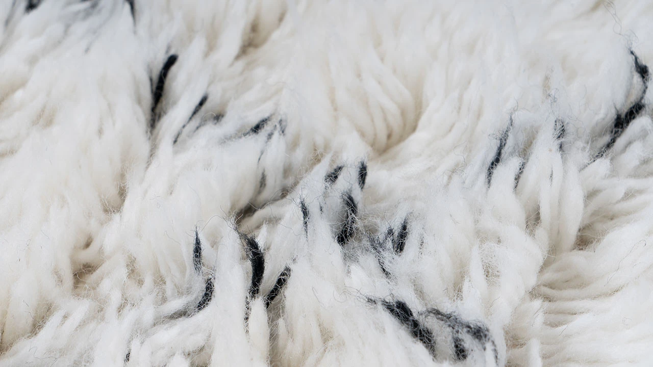 Planeo Teppich - Casablanca 140 Natur / Elfenbein 4 Planeo Teppich - Casablanca 140 Natur / Elfenbein – Bild 4