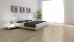 Planeo Klick Vinyl - Zuhause Ontario Eiche (WHC-221)