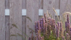 Planeo Premo - HPL-Fertigzaun Hochkant Holzoptik 90 X 180 Cm -Planeo Klick Deutschland Verkaufs-Shop planeo premo ws sichtschutz fertigzaun 1