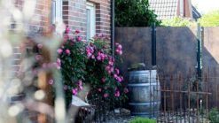 Planeo Premo - HPL-Sichtschutz Senkrecht Rostoptik -Planeo Klick Deutschland Verkaufs-Shop planeo sichtschutz premo rost 01