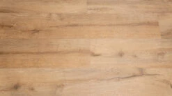 Planeo Klebevinyl - Objekt Eichenstamm Langobardeiche (PLDD2570-LAN) -Planeo Klick Deutschland Verkaufs-Shop pldd2570 lan