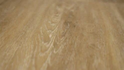 Planeo Klebevinyl - Objekt Eichenstamm Teutoneneiche (PLDD2570-TEU) -Planeo Klick Deutschland Verkaufs-Shop pldd2570 teu 3